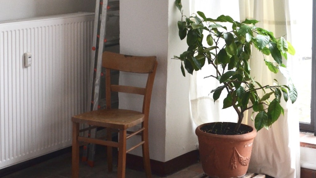 Can you put plants on a radiator?